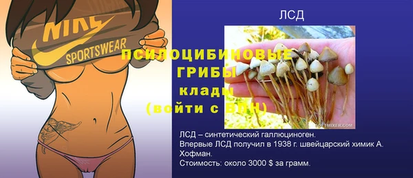 a pvp Белокуриха
