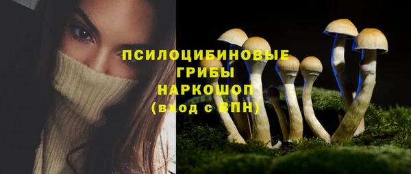 эйфоретик Белоозёрский