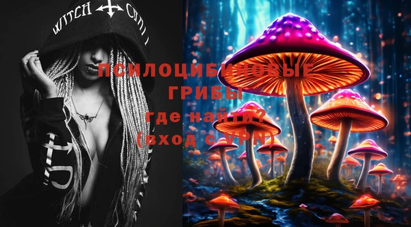 эйфоретик Белоозёрский