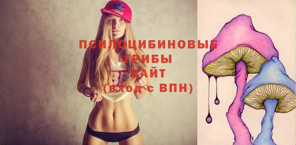 a pvp Белокуриха
