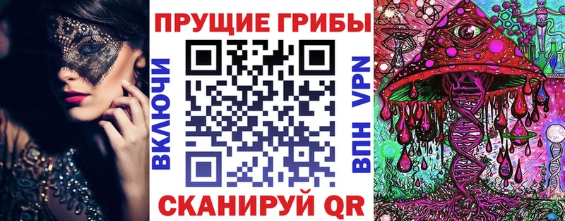Галлюциногенные грибы Cubensis  omg зеркало  Пойковский 