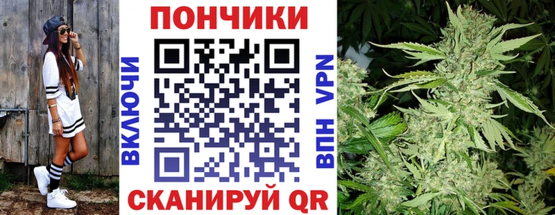 Бошки Шишки сатива  Пойковский 