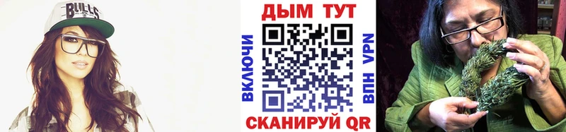 Конопля сатива Пойковский